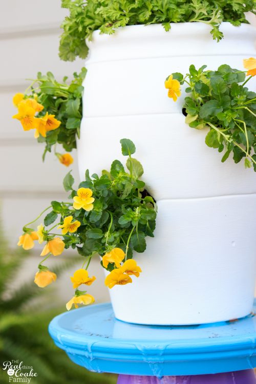 Colorful and Whimsical DIY Water Fountain or Bird Bath