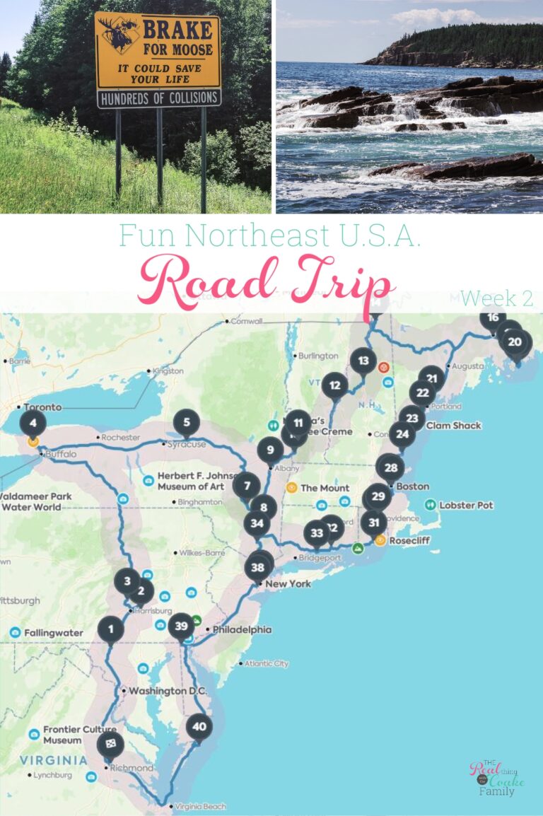 'Road Trip' with Ideas for Washington DC and the Surrounding Areas